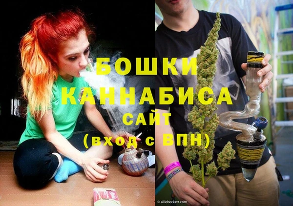 PSILOCYBIN Армянск