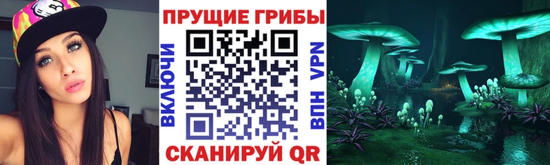 Галлюциногенные грибы Psilocybe  купить наркоту  kraken вход  Устюжна 